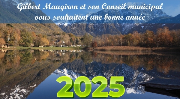 Bonne année 2025